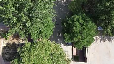 无人机航拍北方森林城镇乡村街道绿化造林视频的预览图